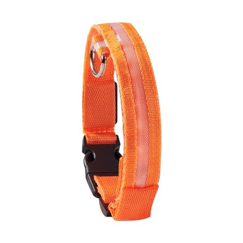 Bexdug LED-Halsband - Leuchtende Hundehalsbänder,Wiederaufladbares, blinkendes LED-Sicherheitshalsband für mittelgroße und kleine Haustiere und Hunde von Bexdug