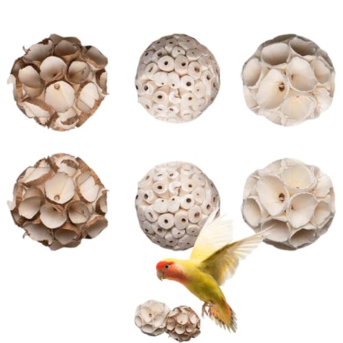 Bexdug Natürliches Vogelspielzeug-Set, Vogelkauspielzeug | 6 Stück kaubare Sparrow Shredding Balls Kauspielzeug | Vogelspielzeug, Kaubälle, Spielzeug für Vögel, Hamster, Rennmäuse, Kaninchen und von Bexdug