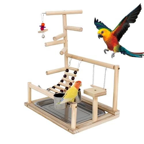 Bexdug Papageien-Spielständer, Vogelständer, Vogelspielzeug aus Naturholz, Laufstallleiter aus Holz für Fitnessstudio, Vogelspielzeug aus Naturholz, Spielplatz, Vogelsitzstangen aus Naturholz, Ständer von Bexdug