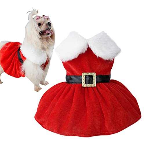 Bexdug Weihnachtsanzug für kleine Hunde - Weihnachtskostüme für Haustiere | Gold Samt Stoff Thermal Urlaub Mädchen Welpen Kostü Hunde Winterkleid Neujahrsgeschenk von Bexdug