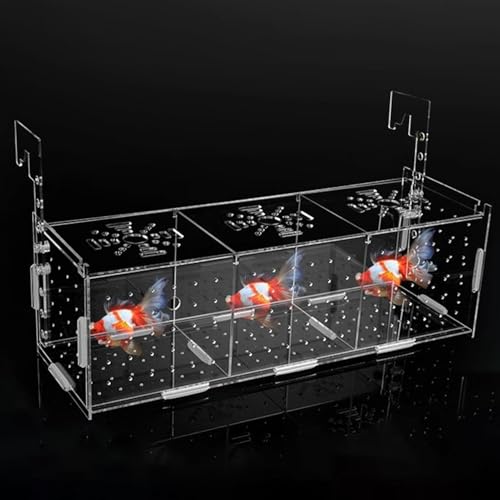 Bexdug Züchterbox für Aquarium - Acryl Transparent Fischzuchtbox mit Haken - Höhenverstellbar Fisch Isolationsbox Aquarium Inkubator mit Saugnapf für kleine Fische von Bexdug