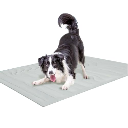 Kühlmatte für Hunde, doppelseitige Hunde-Kühlmatte, atmungsaktiv, maschinenwaschbar, für Kiste, Outdoor, Bett, Innenbereich, Autositze Kühlmatte für Hunde, doppelseitige Hunde-Kühlmatte, atmungsaktiv, maschinenwaschbar, für Kiste, Outdoor, Bett, Innenbereich, Autositze von Bexdug