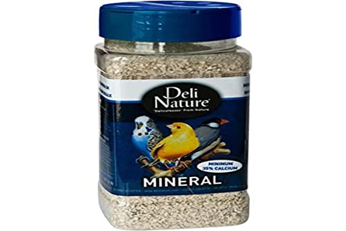 Beyers Deli Nature Mineralien für Vögel von Deli Nature