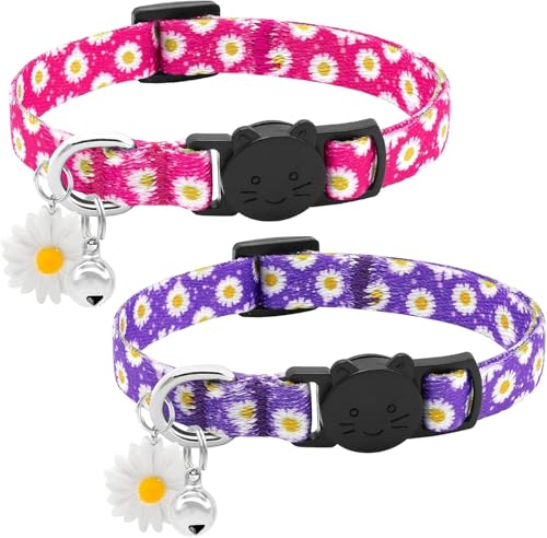 BiPawTi 2 x Gänseblümchen-Katzenhalsband mit Glocke und Gänseblümchen-Charm, niedliches florales Kätzchen-Halsband – weiche Baumwolle, Sicherheits-Katzenhalsbänder mit Schnellverschluss-Schnalle, von BiPawTi