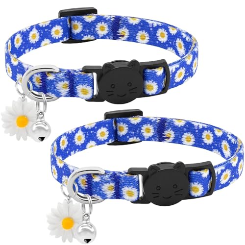 BiPawTi 2 x blaues Katzenhalsband mit Glocke und Gänseblümchen-Charm, niedliches Gänseblümchen-Halsband – weiche Baumwolle, Sicherheits-Katzenhalsband, Schnellverschluss-Schnalle, Kätzchen-Halsbänder von BiPawTi