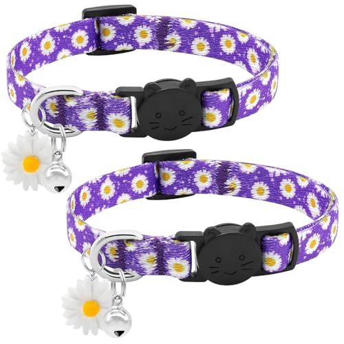 BiPawTi 2 x violettes Katzenhalsband mit Glocke und Gänseblümchen-Charm, niedliches Gänseblümchen-Halsband – weiche Baumwolle, Sicherheits-Schnellverschluss-Schnalle, Kätzchen-Halsbänder für Katzen, von BiPawTi