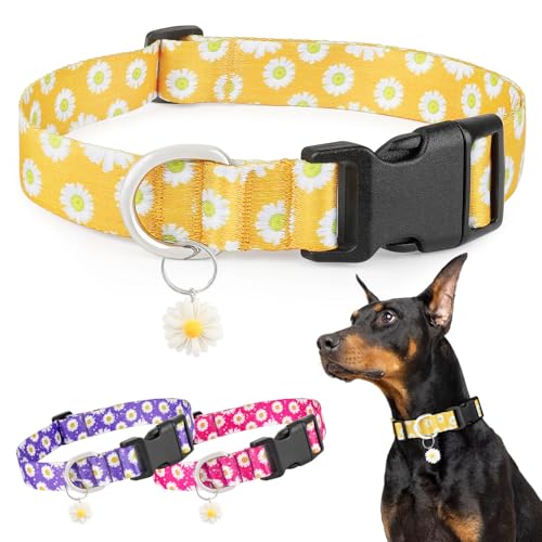 BiPawTi Süßes Welpenhalsband mit Blumenanhänger, Margeritenmuster Halsband für Welpen Accessoires - Weiches, Verstellbares Hundehalsband - Margeritenmuster Gelbes Hundehalsband, S von BiPawTi