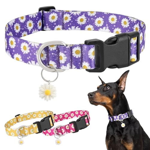 BiPawTi Hunde Halsbänder, Süßes Welpenhalsband mit Margeritenmuster & Süßem Anhänger - Weiches, Verstellbares Halsband Hund Klein - Margeritenmuster Lila Hundehalsband, XS von BiPawTi