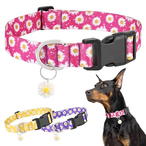 BiPawTi Süßes Welpenhalsband mit Margeritenmuster & Süßem Anhänger - Weiches, Verstellbares Halsband Hund Klein - Perfektes Accessoire für Kleine Hunde, Hundehalsband Rosa Margeritenmuster, XS von BiPawTi