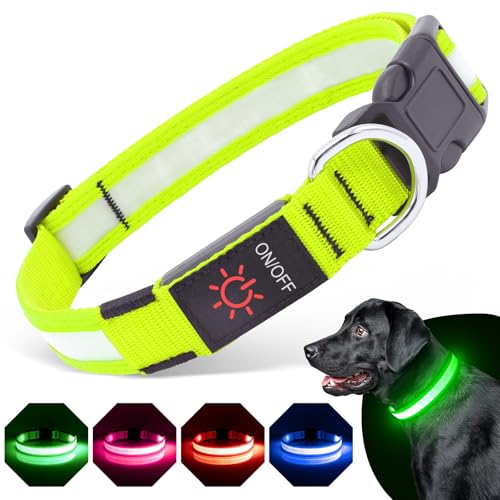 BiPawTi Beleuchtetes Leuchthalsband für Hund Groß, Aufladbar LED Hundehalsband Hund mit 3 Lichtmodi, Super Helle für Hunde Leuchtet Im Dunkeln Leuchtband Hund Halsband fürs Nachtspaziergänge - Grün, L von BiPawTi