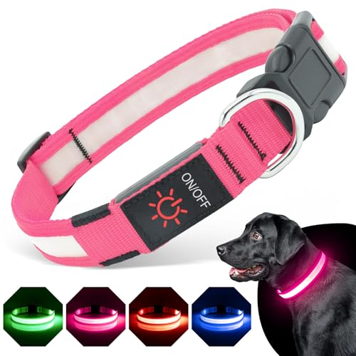 BiPawTi LED Hundehalsband Leuchtend für Hunde, Aufladbar Leuchthalsband mit 3 Lichtmodi - Leuchtet Im Dunkeln Leucht Halsbänder für Große Hunde - Stylische Zubehör fürs Camping mit Hund - Rosa, L von BiPawTi