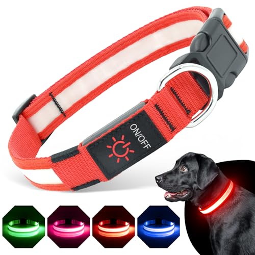 BiPawTi LED Halsband für Hunde, Aufladbar Leuchthalsband Hund, 3 Lichtmodi Beleuchtetes Sicherheitshalsband für Mittlere Hunde - Leuchtet Im Dunkeln Super Helle Halsband für Camping mit Hund - Rot, M von BiPawTi