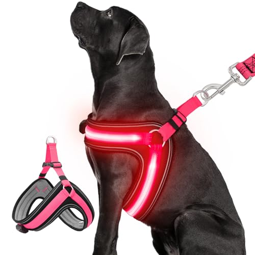 BiPawTi LED Hundegeschirr Leuchtend für Hunde, Aufladbar Leuchtgeschirr Hundeweste mit 3 Lichtmodi - Leuchtet Im Dunkeln Leucht Geschirr für Hunde - Stylische Zubehör fürs Camping mit Hund - Rotlicht von BiPawTi