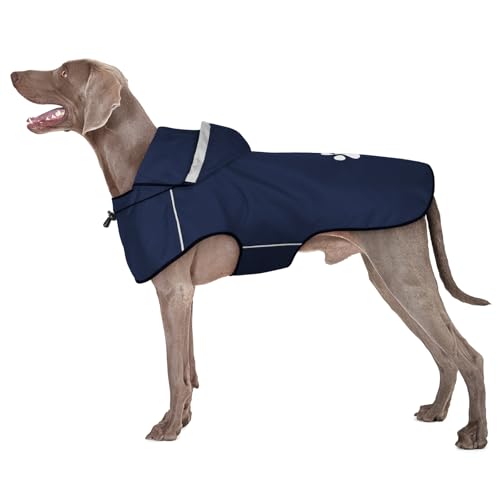 BiPawTi Regenjacke Hund Wasserdicht für Große Hunde, Hund Regenmantel mit Reflektierenden Kapuze & Klettverschluss - Ultraleicht Hunderegenmantel Regenjacken für Hunde Sichere Gassigänge (XL | Blau) von BiPawTi