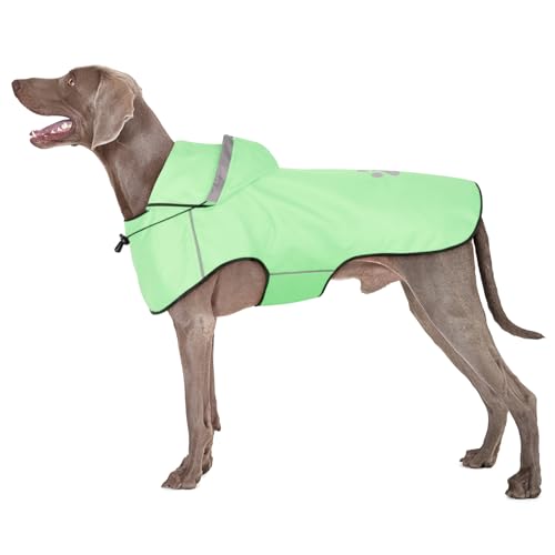 BiPawTi Regenjacke Hund Wasserdicht für Große Hunde – Verstellbarer Hund Regenmantel mit Reflektierenden Kapuze, Ultraleicht Bequem Hunderegenmantel für Trockene, Sichere Gassigänge (XL | Mint) von BiPawTi