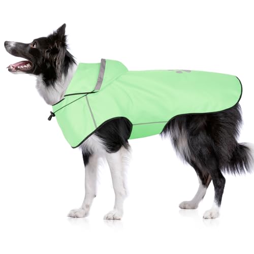 BiPawTi Verstellbar Regenmantel Hund Wasserdicht – Hunde-Regenjacke Reflektierenden Kapuze mit Verstellbarer Kordelzug, Ultraleicht Bequem Hunderegenmantel für Trockene, Sichere Gassigänge (M | Mint) von BiPawTi