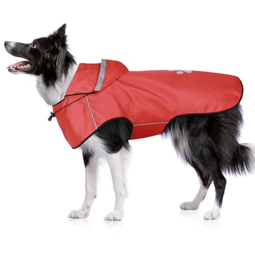 BiPawTi Regenjacken für Hunde Mittlere – Wasserdichter Hundemantel, Verstellbarer Regenjacke mit Reflektierenden Kapuze, Ultraleicht Bequem Hunderegenmantel für Trockene, Sichere Gassigänge (M | Rot) von BiPawTi