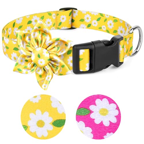 BiPawTi Gänseblümchen-Hundehalsband für große Hunde, weiblich, gelbes Blumenmuster mit Blütendekoration, weiches, niedliches Blumenhalsband, Sommer-Hundehalsband für Mädchen, Hündinnen (Gelb, L) von BiPawTi