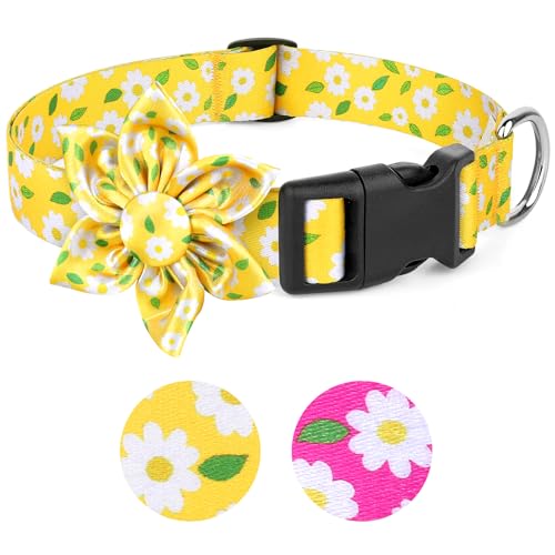 BiPawTi Gänseblümchen-Hundehalsband für große Hunde, weiblich, gelbes Blumenmuster mit Blütendekoration, weiches, niedliches Blumenhalsband, Sommer-Hundehalsband für Mädchen, Hündinnen (Gelb, L) von BiPawTi