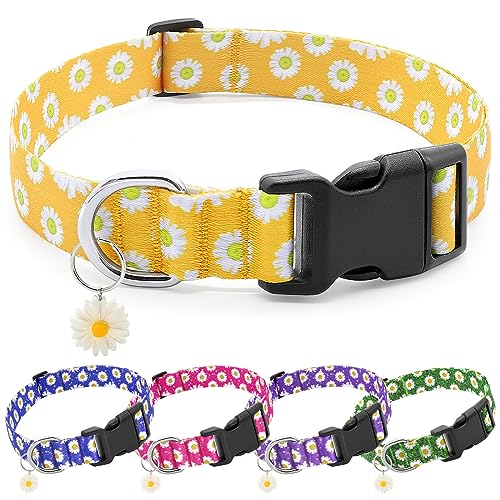 BiPawTi Hundehalsband, niedliches Blumendesign, für Mädchen, kleine Hunde mit Gänseblümchen-Charms, Welpen-Hundehalsband für kleine Hunde, Jungen, Mädchen, Hunde (XS, Gelb) von BiPawTi