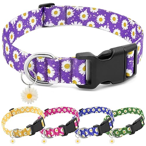 BiPawTi Hundehalsband mit Blumenmuster für Mädchen und Jungen, niedliches Blumen-Welpenhalsband für extra kleine Hunde, weich, verstellbar, für kleine Hunde mit hübschen Gänseblümchen-Anhängern (XS, von BiPawTi