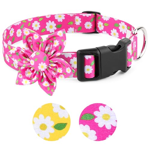 BiPawTi Hundehalsband mit rosa Blume und Blütendekoration, weiches Blumenmuster, niedliches Gänseblümchen, hübsches Hundehalsband, Sommer-Hundehalsband für Mädchen, Hündinnen (Rosa, M) von BiPawTi