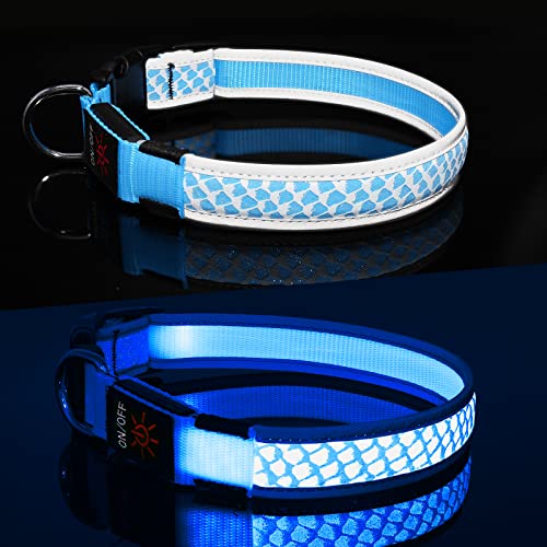 BiPawTi LED-Hundehalsband, leuchtet im Dunkeln bei Nacht, Sicherheit, wiederaufladbar, beleuchtet, superhell, beste Hunde-Campingausrüstung von BiPawTi