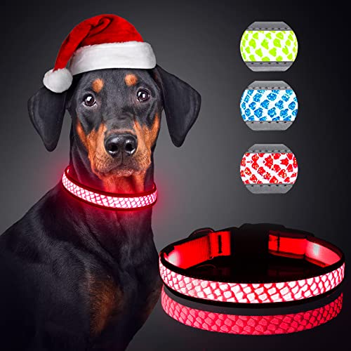 BiPawTi LED-Hundehalsband, leuchtet im Dunkeln bei Nacht, Sicherheit, wiederaufladbar, beleuchtet, superhell, beste Hunde-Campingausrüstung von BiPawTi