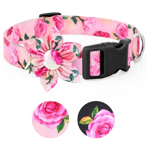 BiPawTi Rosa Halsband für Hunde, Mädchen, weiblich, weiches kleines Hundehalsband mit Blumendekoration, niedliches Blumenmuster, Welpenhalsbänder für Streu, Sommer-Hundehalsbänder für Mädchen, Hunde, von BiPawTi
