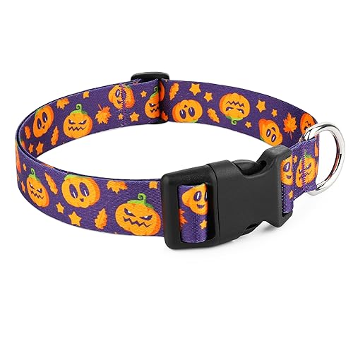Halloween Hundehalsbänder für mittelgroße Hunde - Weiches süßes Kürbis Hundehalsband, Hund Halloween Halsband Jack-O'-Lantern Hundehalsband für Hündinnen Rüden Mädchen Jungen Hund, Jack-O'-Lantern von BiPawTi