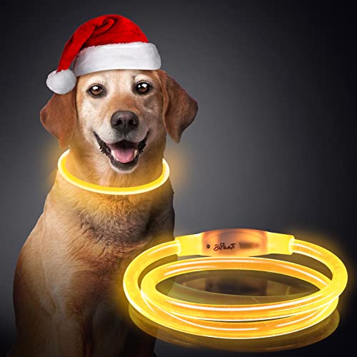 Hundehalsband Leuchtend, BiPawTi Leuchthalsband Hund USB Aufladbar, LED Halsband für Hunde Längenverstellbarer, Leuchtendes Hundehalsband wasserdicht für kleine, Mitte, Große Hunde und Katzen- 3 Modus von BiPawTi