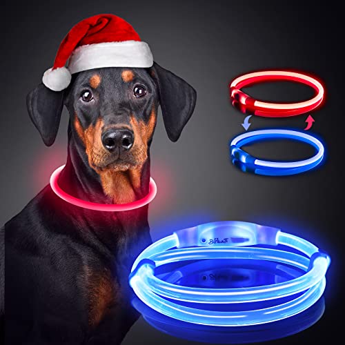 Hundehalsband Leuchtend, BiPawTi Leuchthalsband Hund USB Aufladbar, LED Halsband für Hunde Längenverstellbarer, Leuchtendes Hundehalsband wasserdicht für kleine, Mitte, Große Hunde und Katzen- 4 Modus von BiPawTi