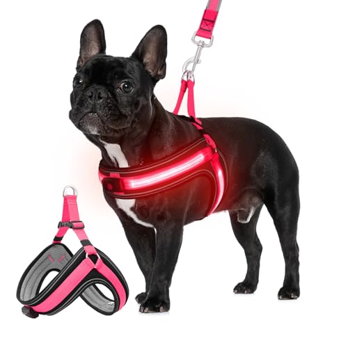 Kleines LED-Hundegeschirr mit blinkendem Licht, leuchtet im Dunkeln, verstellbares beleuchtetes Hundegeschirr mit 3 Leuchtmodi, wiederaufladbar, beleuchtetes Westengeschirr für nächtliche Spaziergänge von BiPawTi