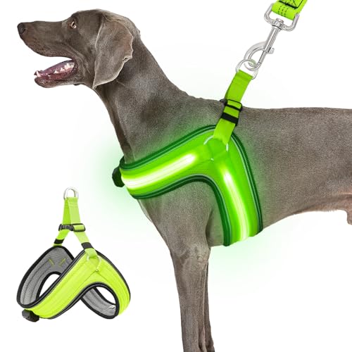 LED-Hundegeschirr für große Hunde, über USB wiederaufladbar, leuchtendes Hundegeschirr mit 3 Leuchtmodi, blinkend, leuchtet im Dunkeln, verstellbares Hundegeschirr, Hundelichter für nächtliches von BiPawTi