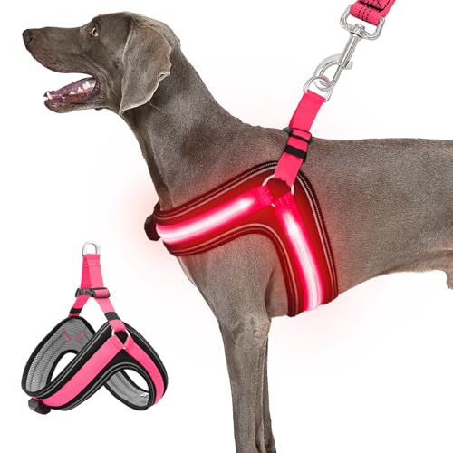 LED-Hundegeschirr für große Hunde, über USB wiederaufladbar, leuchtendes Hundegeschirr mit 3 Leuchtmodi, blinkend, leuchtet im Dunkeln, verstellbares Hundegeschirr für nächtliches Spazierengehen, von BiPawTi