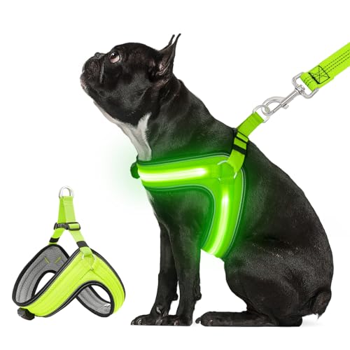 LED-Hundegeschirr für kleine Hunde, über USB wiederaufladbar, leuchtendes Hundegeschirr mit 3 Beleuchtungsmodi, blinkende Hundehänerin, leuchtet im Dunkeln, Sicherheits-Hanress für Outdoor/Camping mit von BiPawTi