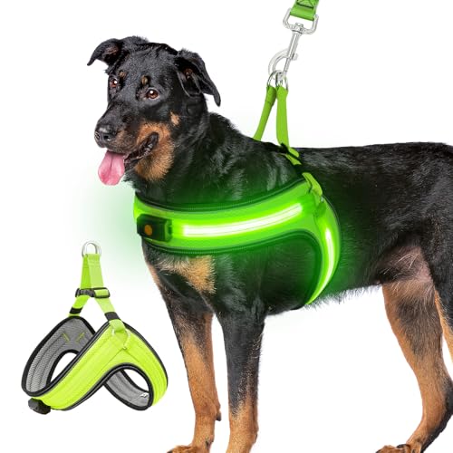 Leuchtendes Hundegeschirr, großes Hundegeschirr mit blinkendem Licht, leuchtet im Dunkeln, über USB wiederaufladbar, LED-Weste, Geschirr mit 3 Lichtmodi, stilvolles Step-in-Hundegeschirr für von BiPawTi