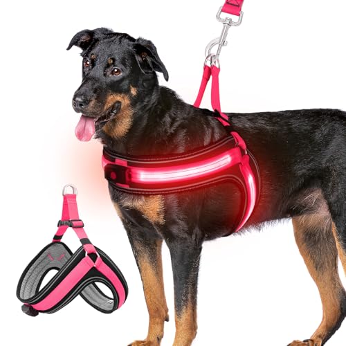 Leuchtendes Hundegeschirr für große Hunde, LED-Hundegeschirr mit Licht, leuchtet im Dunkeln, über USB wiederaufladbar, mit 3 Leuchtmodi, stilvolles Step-in-Hundegeschirr für nächtliche Spaziergänge, von BiPawTi