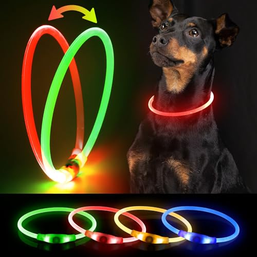 Leuchthalsband Hund BiPawTi Hundehalsband Leuchtend USB Aufladbar Wasserdicht Anione LED Leucht Halsband Längenverstellbarer Haustier Sicherheit Kragen für Hunde Extra helles Leuchtendes Hundehalsband von BiPawTi