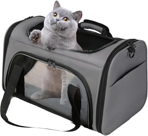 Bibykivn Atmungsaktive Katzentasche, Faltbare Katzentransportbox, Geeignet für Kleine und Mittelgroße Katzen und Hunde, Mehrere Öffnungen Oben, Vorne und an Den Seiten (Grau, XL) von Bibykivn