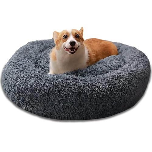 Bibykivn Hundebett Katzenbett, Hund Bett Haustierbett Plüsch Weich Runden Katze Schlafen Bett, Rund Flauschig Haustierbett für Klein-Mittelgroße Hunde Maschinenwaschbar (60×60CM, Dunkelgrau) von Bibykivn