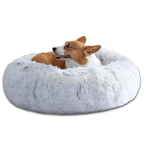 Bibykivn Hundebett Katzenbett, Hund Bett Haustierbett Plüsch Weich Runden Katze Schlafen Bett, Rund Flauschig Haustierbett für Klein-Mittelgroße Hunde Maschinenwaschbar (60×60CM, Grau-weiß) von Bibykivn