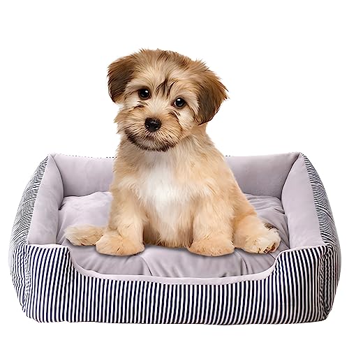 Bibykivn Hundebett Mittelgroße Hunde, rutschfest Waschbar Orthopädisches Hundebett, Hundebett Erhöhte Ränder, Ergonomisches Hundesofa mit Wendekissen für Kleine Mittlere Hunde (50 * 38cm, Grau) von Bibykivn