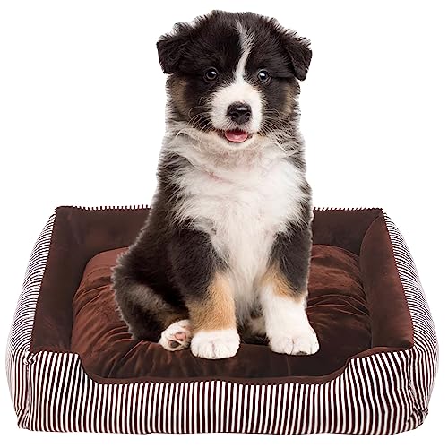 Bibykivn Hundebett Mittelgroße Hunde, rutschfest Waschbar Orthopädisches Hundebett, Hundebett Erhöhte Ränder, Ergonomisches Hundesofa mit Wendekissen für Kleine Mittlere Hunde (70 * 52cm, Braun) von Bibykivn