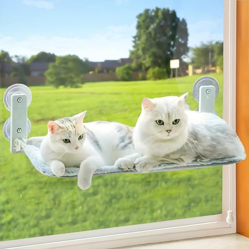 Bibykivn Katzenbett Fenster Klappbar Hängematte, Katzen Hängematte, Katzen Hängematte Fenster, Katzen Hängematte Für Große Katze mit Stabil Saugnäpfe Halten (Grauer Plüsch + Mesh, 52×30cm) von Bibykivn