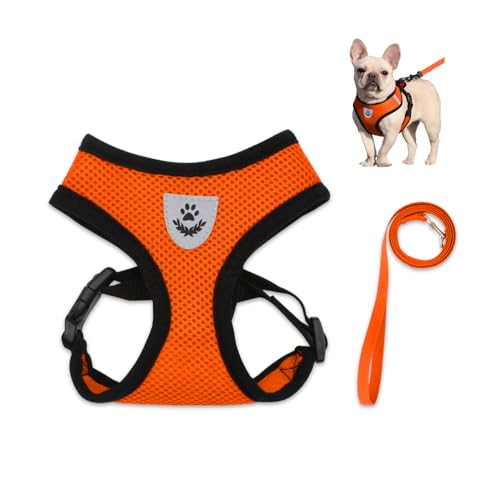 Bieiyhe Katzengeschirr mit Leine Ausbruchsicher M, Hundegeschirr Welpen Verstellbar,Sicherheitsgeschirr Katze Brustgeschirr,Katzenleine Kittengeschirr,Cat Harnesses,Cat Leash für Kitten Hunde -Orange von Bieiyhe