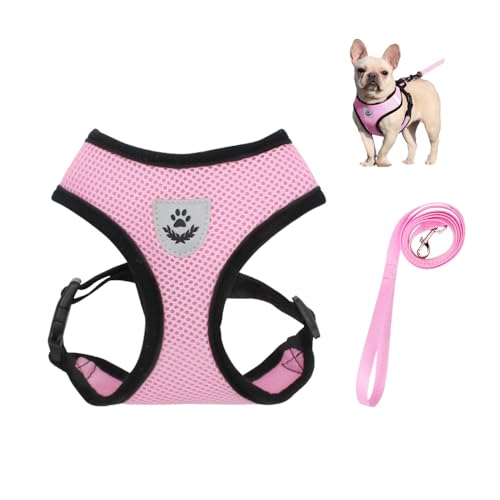 Bieiyhe Katzengeschirr mit Leine Ausbruchsicher M, Hundegeschirr Welpen Verstellbar,Sicherheitsgeschirr Katze Brustgeschirr,Katzenleine Kittengeschirr,Cat Harnesses,Cat Leash für Kitten Hunde -Rosa von Bieiyhe