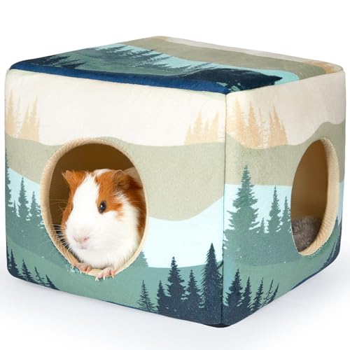 Bienbee Meerschweinchen-Versteck Waschbares Meerschweinchenhaus, gemütliches Meerschweinchenbett für kleine Haustiere, Hasen, Hamster, Chinchilla, Meerschweinchen, Zubehör, Waldlandschaft Bienbee Meerschweinchen-Versteck Waschbares Meerschweinchenhaus, gemütliches Meerschweinchenbett für kleine Haustiere, Hasen, Hamster, Chinchilla, Meerschweinchen, Zubehör, Waldlandschaft von Bienbee