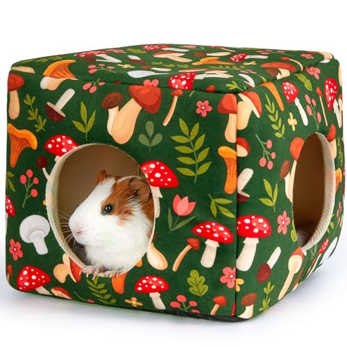 Bienbee Meerschweinchenversteck Waschbares Meerschweinchenhaus, gemütliches Meerschweinchenbett für kleine Haustiere, Hasen, Hamster, Chinchilla, Meerschweinchen, Zubehör, grüner Pilz Bienbee Meerschweinchenversteck Waschbares Meerschweinchenhaus, gemütliches Meerschweinchenbett für kleine Haustiere, Hasen, Hamster, Chinchilla, Meerschweinchen, Zubehör, grüner Pilz von Bienbee