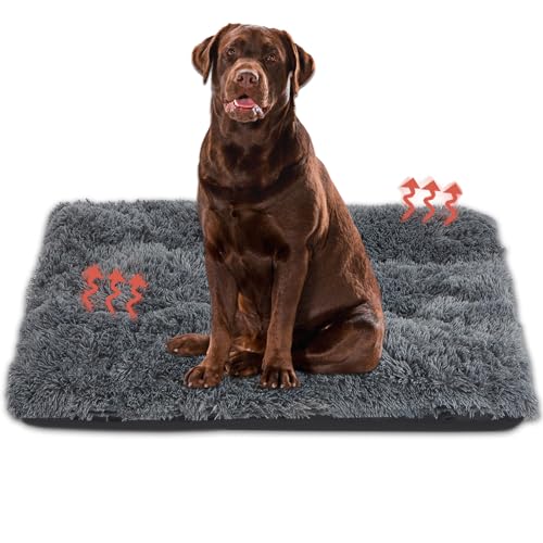 Big Ant Hundebett, Komfort Flauschige Plüsch-Hundekäfig-Matte, waschbare Hundekäfig-Pad, Hundebetten für Hunde und Katzen, rutschfestes Hundekäfigbett zum Schlafen, Haustierkäfigbett, 122 x 73,7 cm von Big Ant